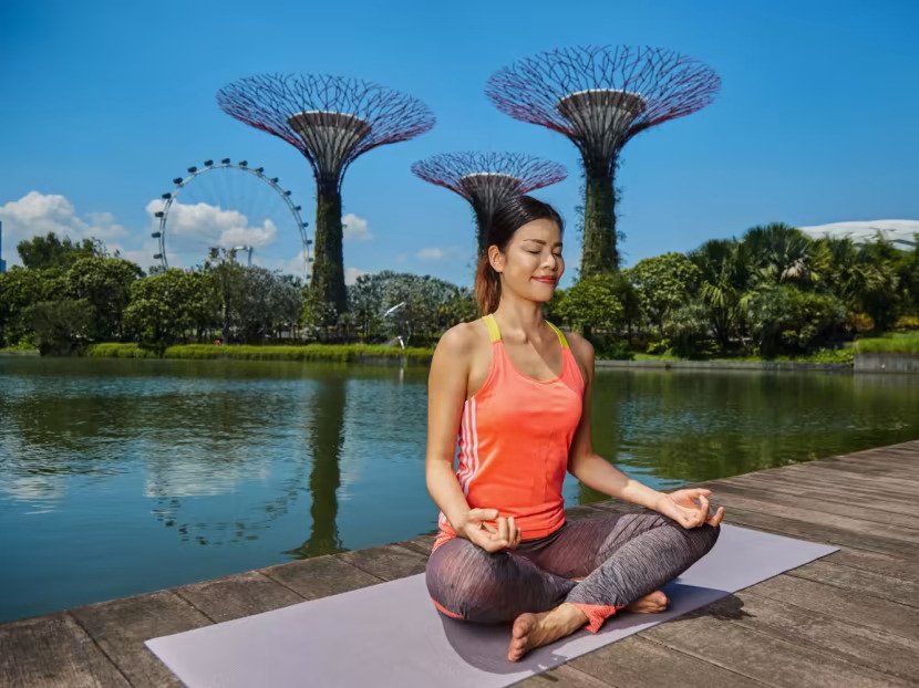 WELLNESS FESTIVAL YOGA